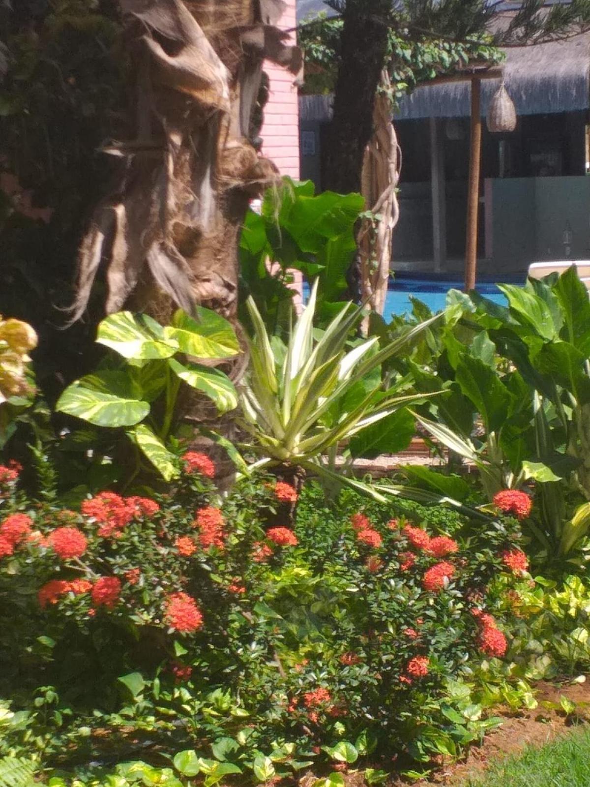 Chale Tulipa - Centro Praia Da Pipa Praia de Pipa Bagian luar foto